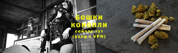 стаф Коряжма