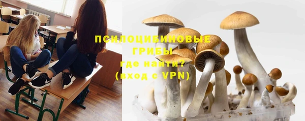 стаф Коряжма