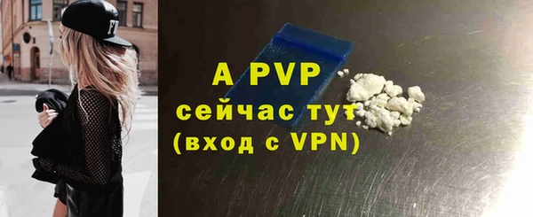 гидра Костерёво