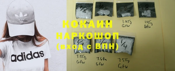 гидра Костерёво
