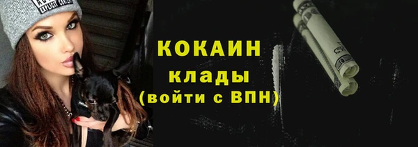 стаф Коряжма