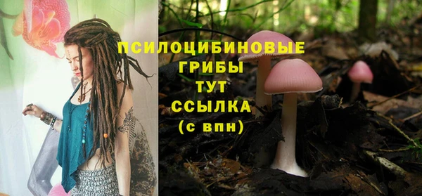 альфа пвп Корсаков