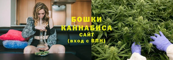 гидра Костерёво