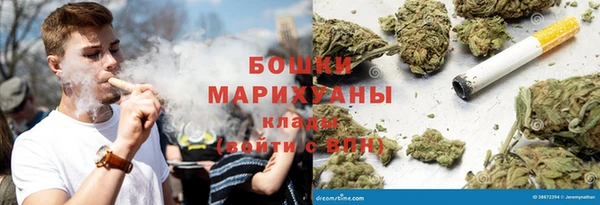 гидра Костерёво