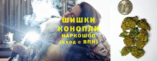 гидра Костерёво